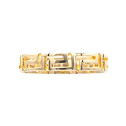 Ring Κ9