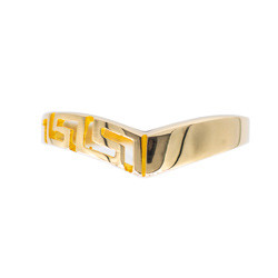 Ring Κ9