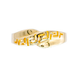 Ring Κ9