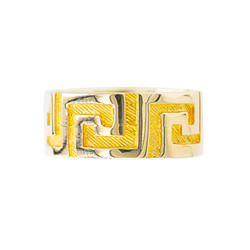 Ring Κ9